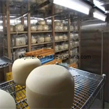 Complete Fresh Cheese Production Line Turn Key Projects