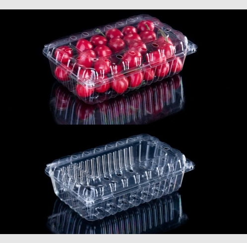 Fruit RPET plastic packaging box with ventilation holes
