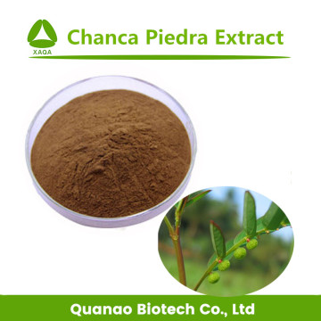 Extrato de Chanca Piedra / Phyllanthus urinaria L. Pó