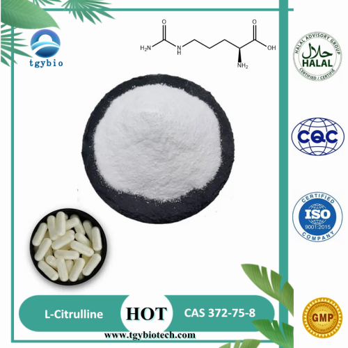 Amélioration masculine 372-75-8 Bodybuilding L-Citrulline Powder