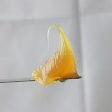 Premium Lithium Base Grease - 500g Bag