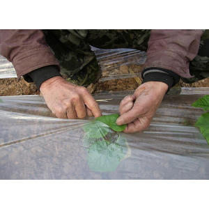 Bio-degradable Plastic Mulch Gardening Farming Film