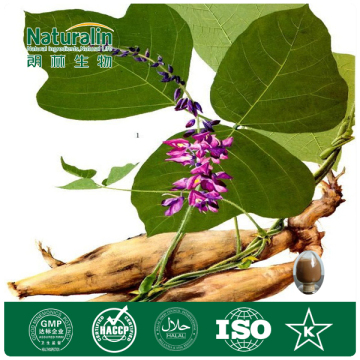 Pueraria Lobata Root Extract 30%-99% Pueraria 40%-80% Isoflavones