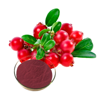 Cranberry fruit powder extract
