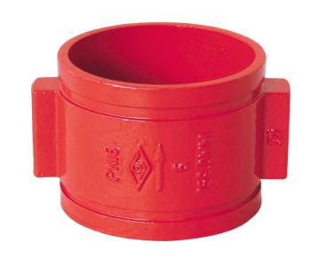 BS Double Door Grooved Check Valve