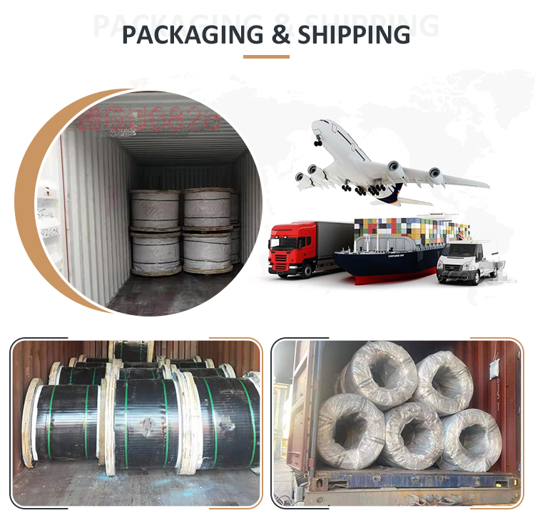 2.5mm galvanized steel wire coil high carbon steel wire steel Reinforced for ACSR