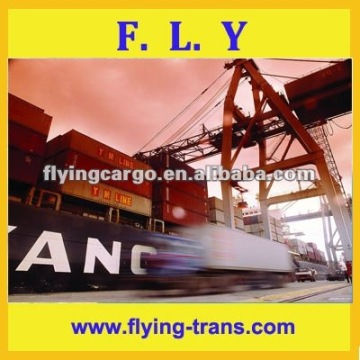 professional air cargo service