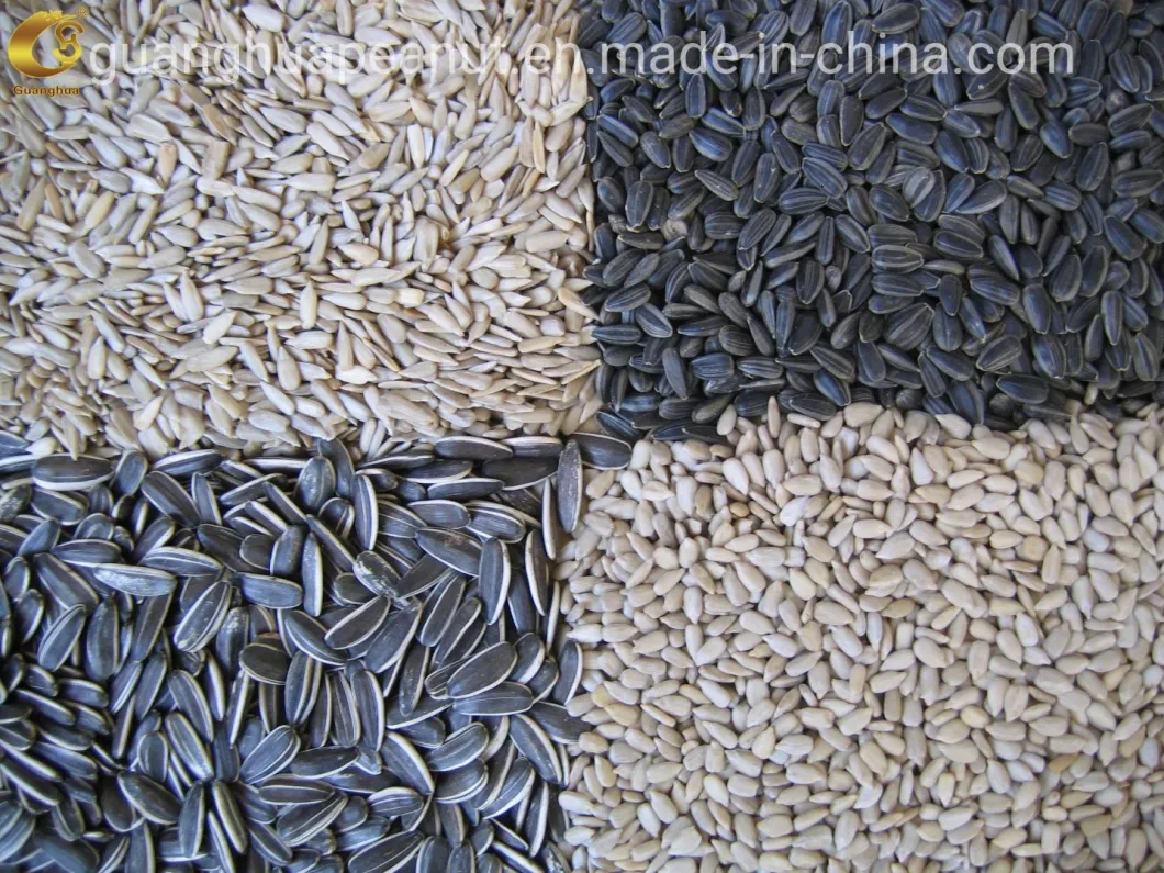 Sunflower Seeds Kernels Confectionery Grade