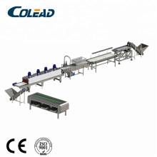 Middle East palm dates drying machine processing line