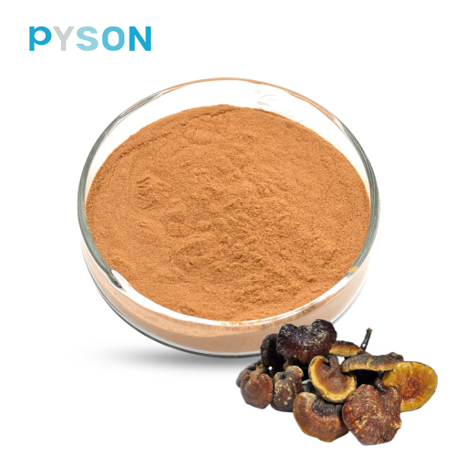 Extrait de champignon Reishi Polysaccharides 35% UV