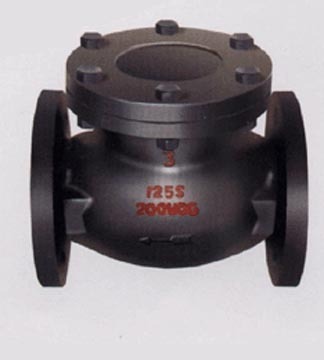 Cast Iron Check  Valve