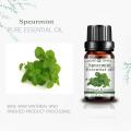 Precio de fábrica Venta caliente ampliamente utilizada 100% puro y natural Spearmint Aceite esencial