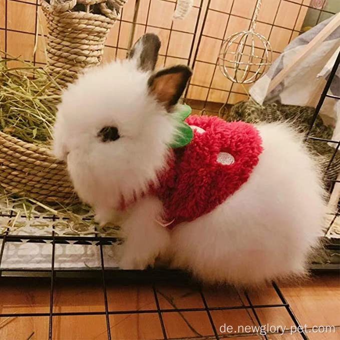 Haustierkostüm süße Kaninchenkleidung
