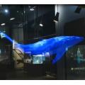 super transparent self-adhesive holographic projection film is used in glass Windows