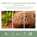 Food Grade Organic Coriander Seed Essential Oil Wholesale Coriander Essential Oil