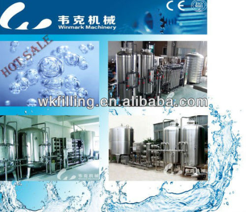 Automatic Bottled Purified Water Production Line