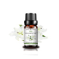 Excellent Quality 100% Pure Natural Lily Essential Oil