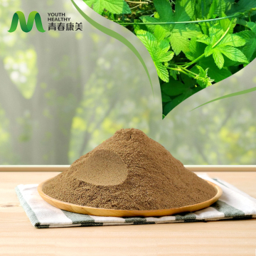 Devil's Claw Extract Natural Anti Inflammatory Benefits