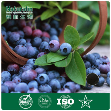 High qaulity Blueberry Extract (Anthocyanidin 25%) by HPLC for natural Antioxidant