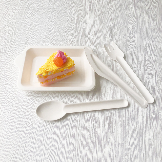 Bagasse Cutlery