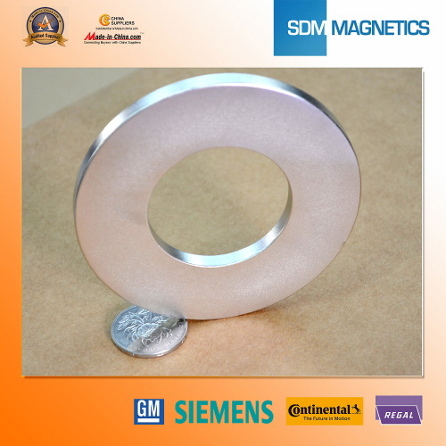 Aangepaste hoge kwaliteit Permanent poedermetallurgie ring magneten