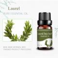 10ml logotipo personalizado grau cosmético Laurel Oil Bay Leaf Oil