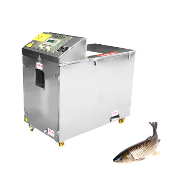 Wholesale Yellowtail and Whiting Fillets Processing Equipment in Factory Price