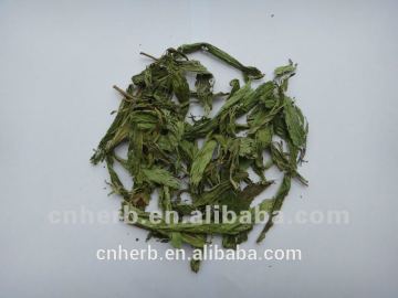 dried and natural stevia leaf powder