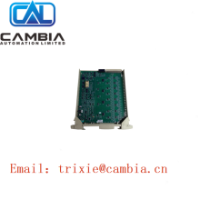 CC-PAIH01 Module Direct click