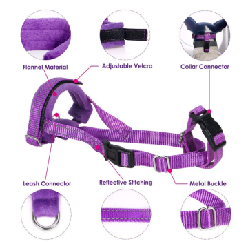 Chien Muzzles pour chien de taille moyenne