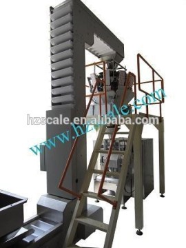 Walnuts packing machine
