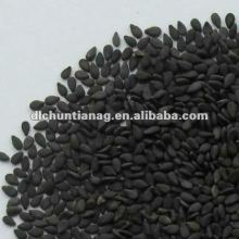 black sesame organic