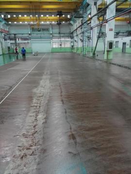 Plant super permeable epoxy sealing primer