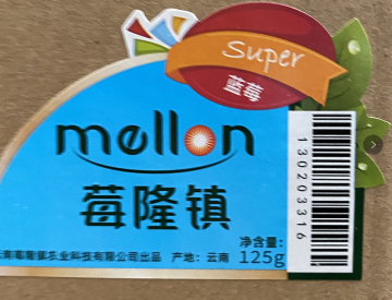 Nice design printing barcode