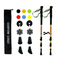 Quick Lock Non Slip Trekking Pole Walking Sticks