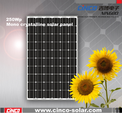 Mono Crystalline Solar Panel, Solar Module, 250W Solar Cell for Solar Panel System