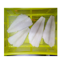 arrow tooth flounder fillet fish detail,arrow tooth flounder fish detail,frozen halibut fillet