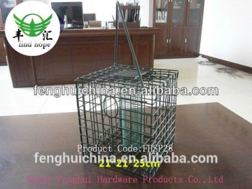 The simple design hanging bird water feeder seed peanut feeder bird feeder