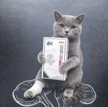 Pet Joint Flexibility Enhancer