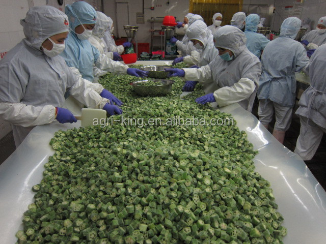 Hot Sell storage Frozen Okra Prices