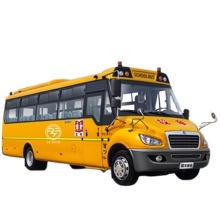 Dongfeng Mini Bus and School Bus Wholesale Sale