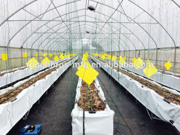 Agriculture green house single span Greenhouse