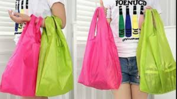 2017 hotsell Nylon Reusable Foldable Shopping Bags