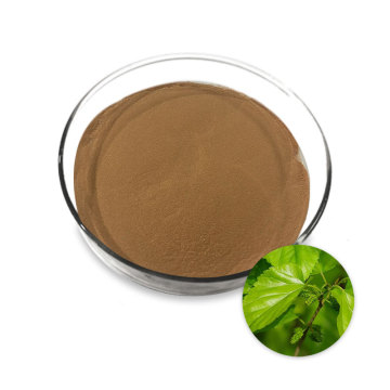 High quality mulberry leaf extract powder
