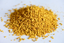 natural and pure BEE POLLEN honeybees