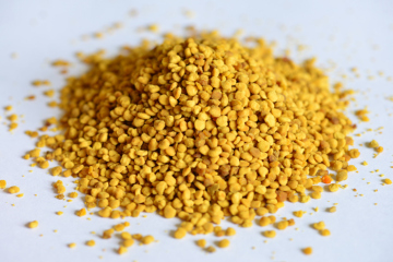 natural and pure BEE POLLEN honeybees