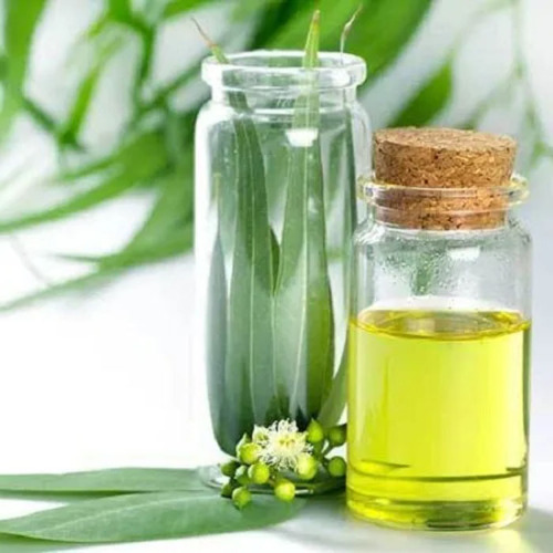 Pure Natural Eucalyptus Essential Oil CAS 8000-48-4