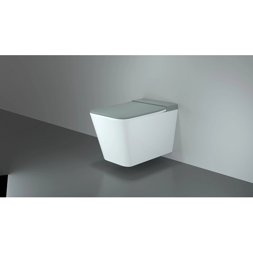 Europa Design Economische moderne badkamer Randloos toilet