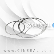 Double Jacketed Gasket