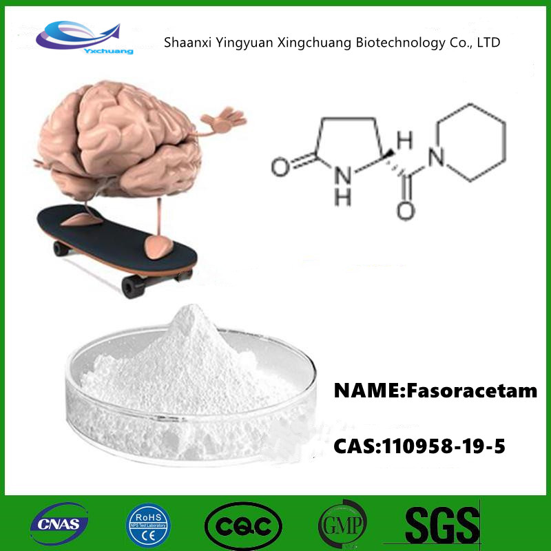 fasoracetam mechanism of action